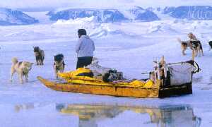 in slitta verso il Polo Nord