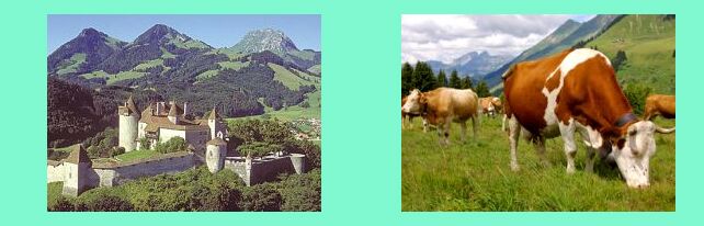 il castello di Gruyeres _ mucche al pascolo