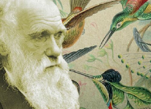 il co-scopritore, Charles Darwin