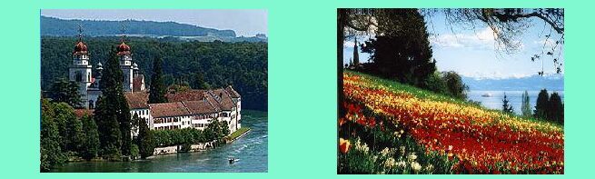 presso Sciaffusa, sul Reno _ Mainau: i fiori, il lago, le montagne