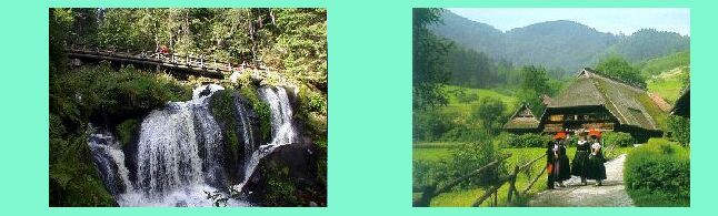 Triberg: passeggiata tra gli alberi _ casette nella foresta