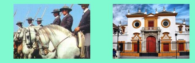 cavalieri andalusi _ Siviglia: ingresso alla Plaza de Toros