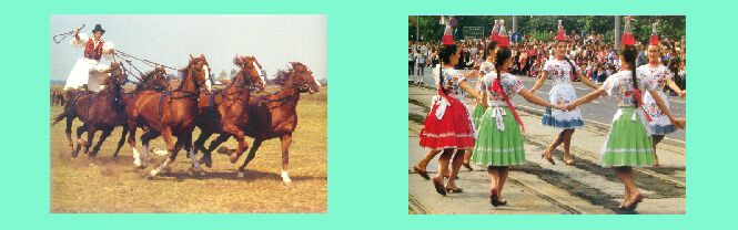 esibizione dei mandriani a cavallo _ danze folkloristiche