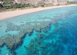 Eilat: la barriera corallina