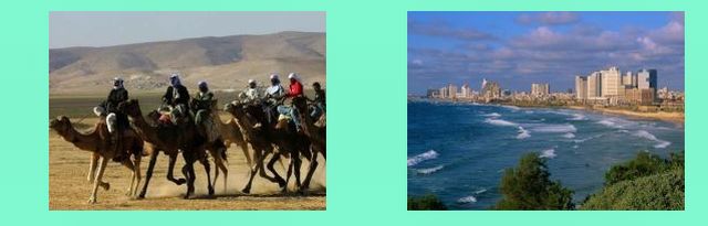 cammellieri beduini nel deserto del Negev _ Tel Aviv-Jaffa: le spiagge