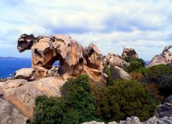 Palau: il Capo d'Orso