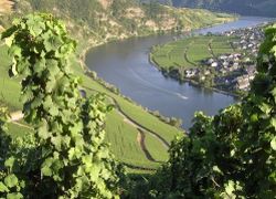 Mosella: un villaggio