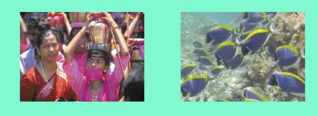 le ''cultura hindu''' _ snorkeling