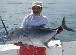 Maldive: grande pesce, un carengue