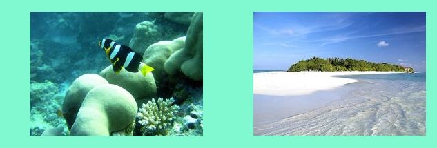 Maldive: mondo sottomarino _ Maldive: isola deserta