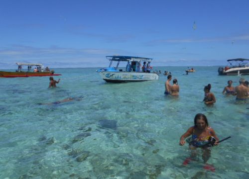razze e squali nella laguna di Bora Bora