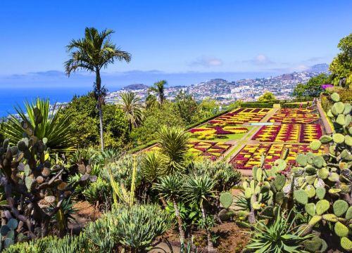 Funchal: il giardino botanico