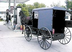 carrozzella Amish